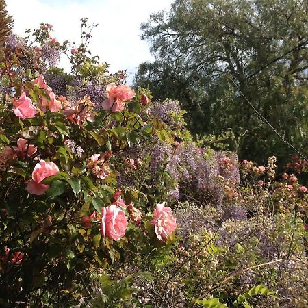 Bed and Breakfast Natone Hobart Esterno foto