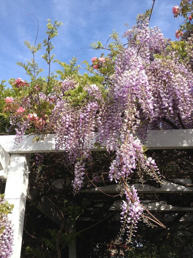 Bed and Breakfast Natone Hobart Esterno foto
