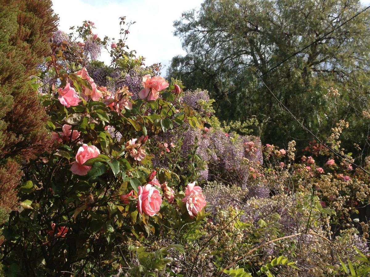 Bed and Breakfast Natone Hobart Esterno foto